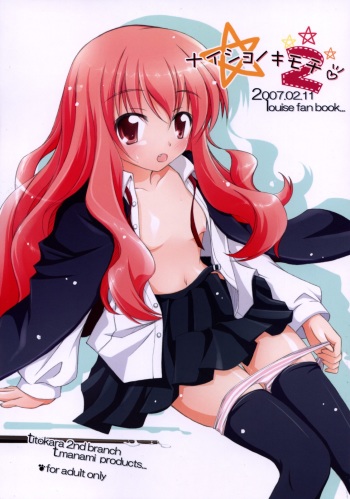 (SC34) [Titokara 2nd Branch (Manami Tatsuya)] Naisho no Kimochi 2 (Zero no Tsukaima) cover