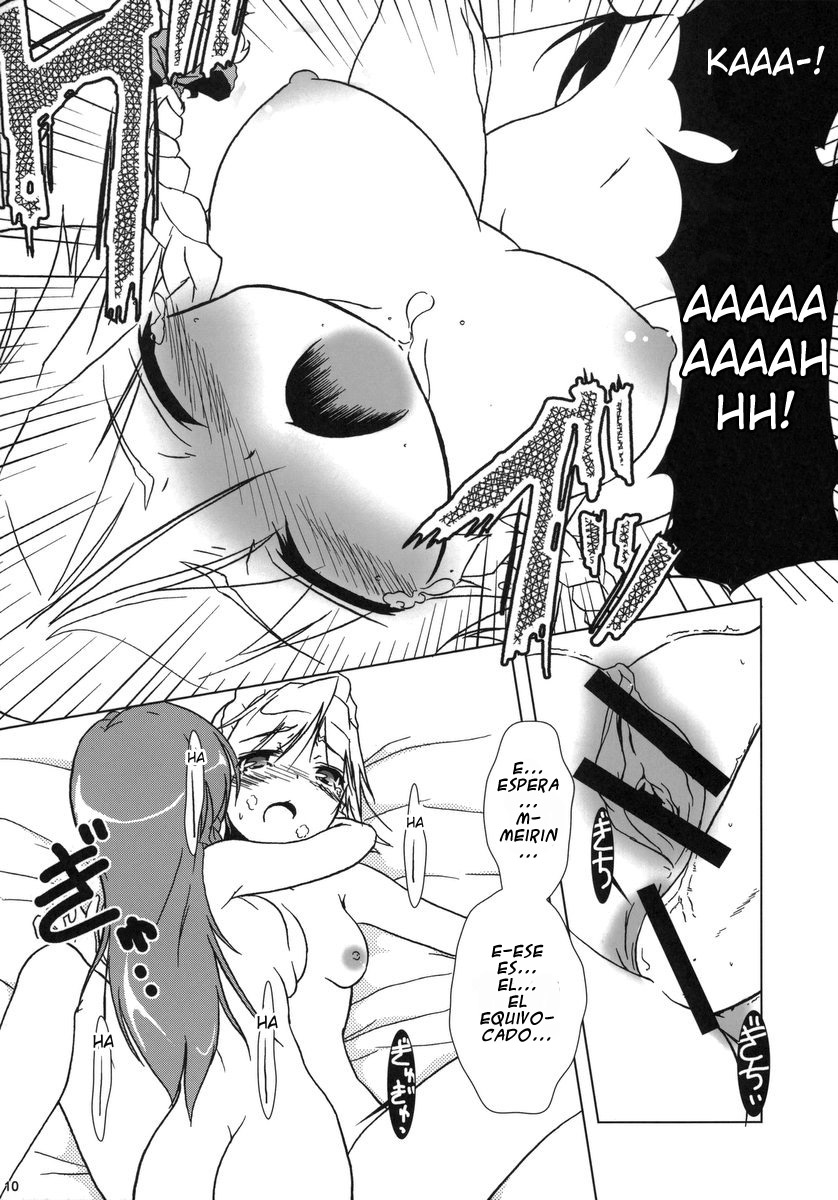 Kajin Komusume Chuuka na Meiling! | Bloom Human Main Point page 10 full