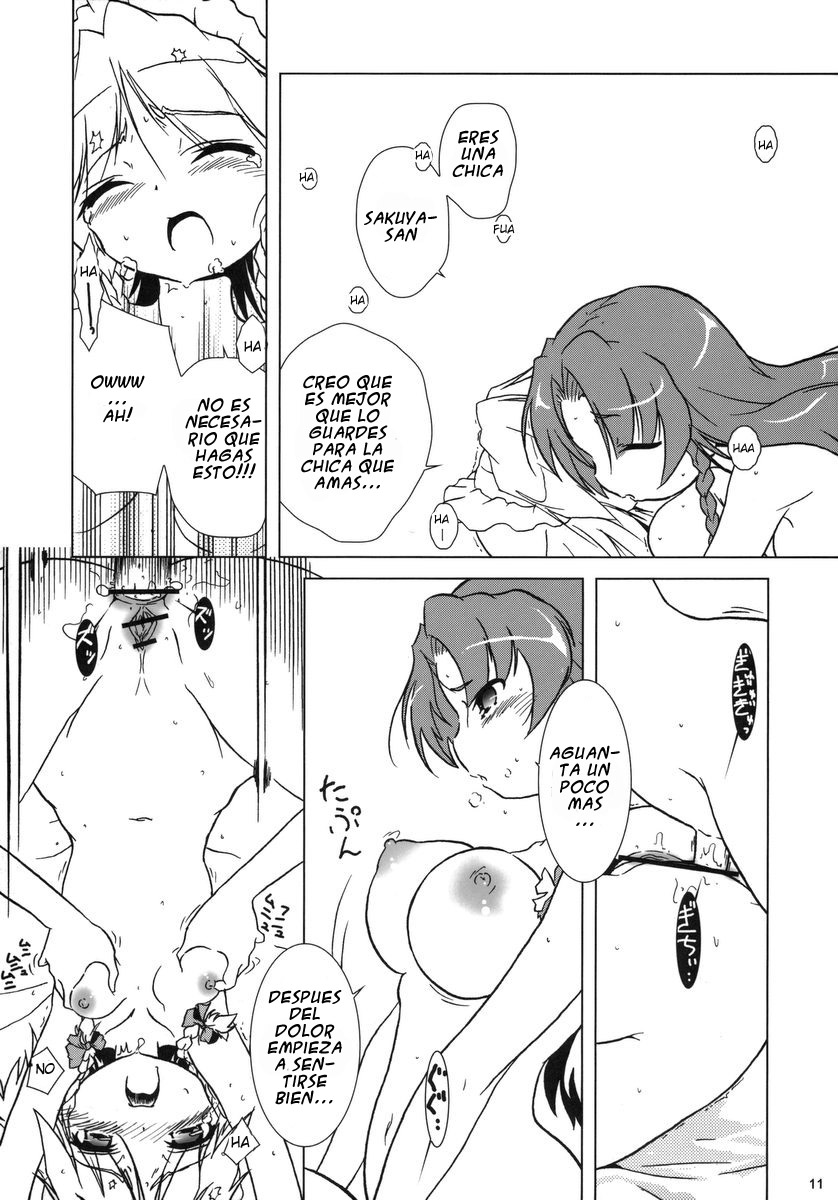 Kajin Komusume Chuuka na Meiling! | Bloom Human Main Point page 11 full