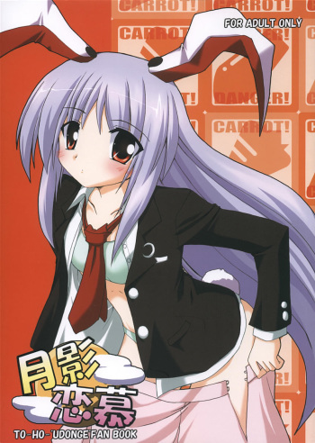 (SC29) [Yuugen Jikkou (Gonzaburo-)] Tsukikage Renbo (Touhou Project) cover