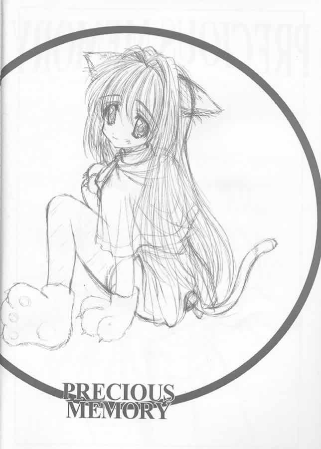 Precious Memory ～ Ippen no Kiseki no Naka de... ～ page 3 full
