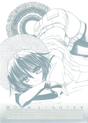 (C65) [Cafeteria Watermelon (Kosuge Yuutarou)] Moon Lighter (Elemental Gelade) cover