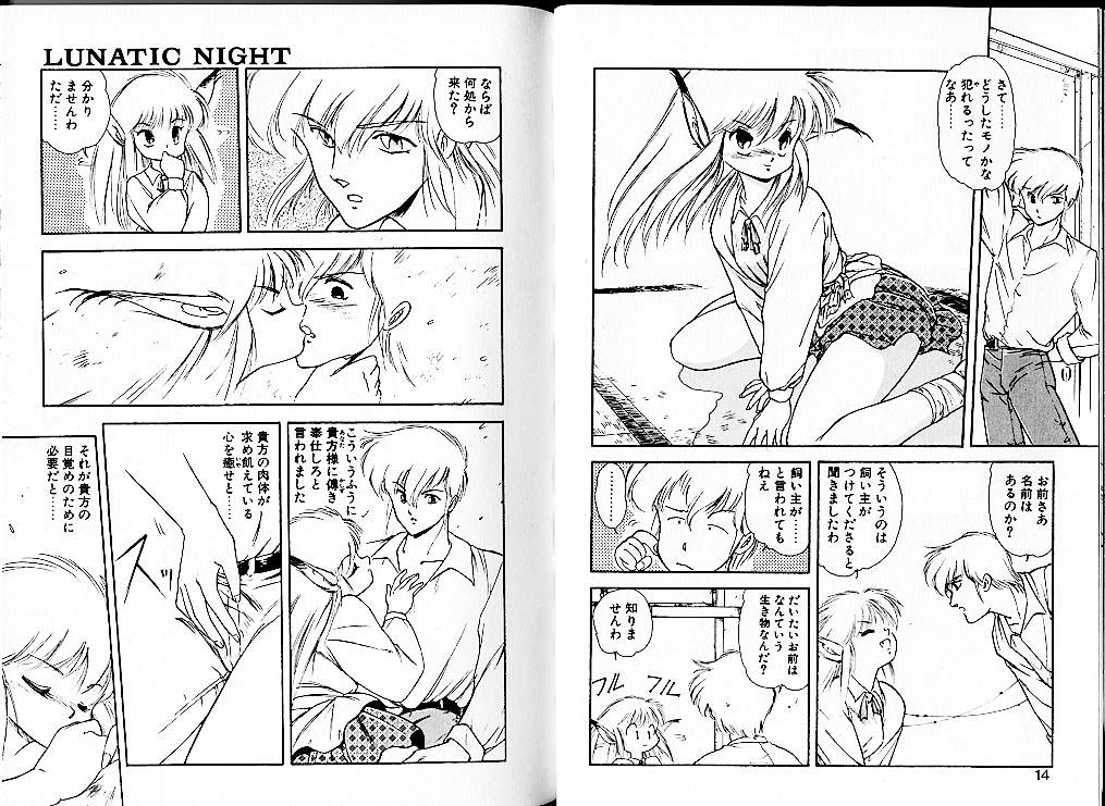 Lunatic Night 1 page 11 full