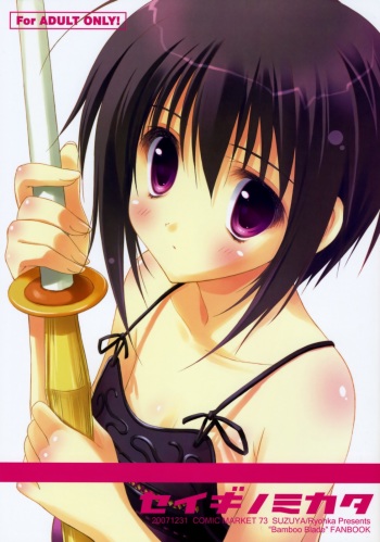 (C73) [SUZUYA (Ryohka)] Seigi no Mikata (BAMBOO BLADE) cover