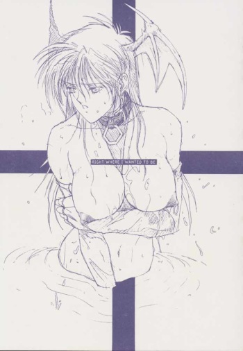 (C47) [Kouga-dou (Kotoyoshi Yumisuke, Shibari Kana)] RIGHT WHERE I WANTED TO BE (Various) cover