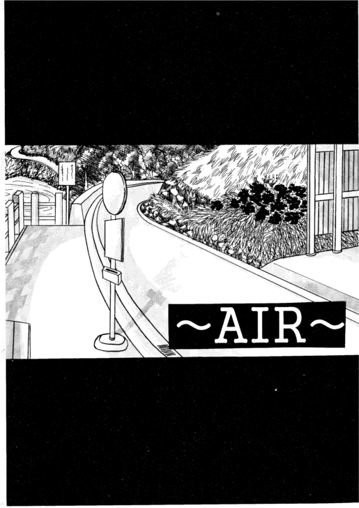 AIR page 3 full
