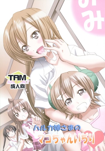 [PH (TAM)] Haruka Nee-sama no Mako-chan Ijiri (Minami-ke) cover