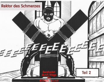 Rektor des Schmerzes - Teil 2 (german) cover