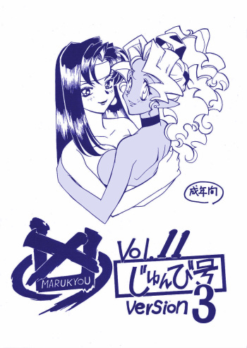 (CR31) [Bible (Ogata Satomi)] Kyouakuteki Shidou Vol. 11 Junbigou Version 3 (Tenchi Muyo!) cover