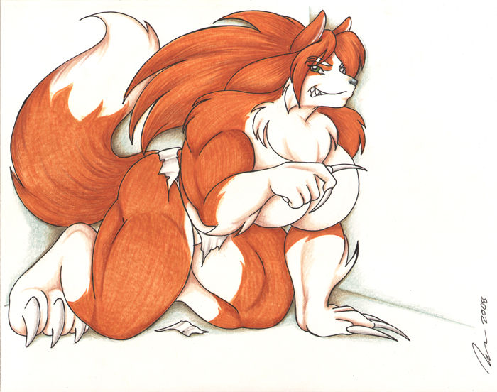 Dogs, Wolves, Foxes page 8 full