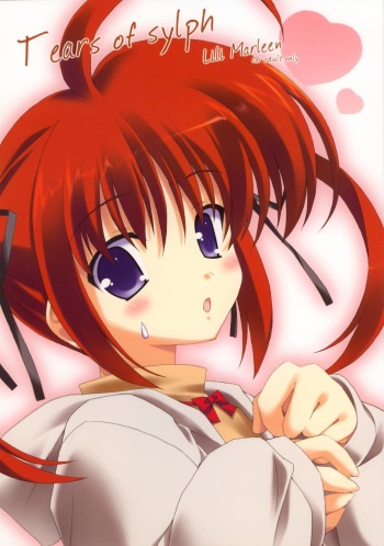 [Lili Marleen (Kinohara Hikaru)] Tears of sylph (Mahou Shoujo Lyrical Nanoha) cover
