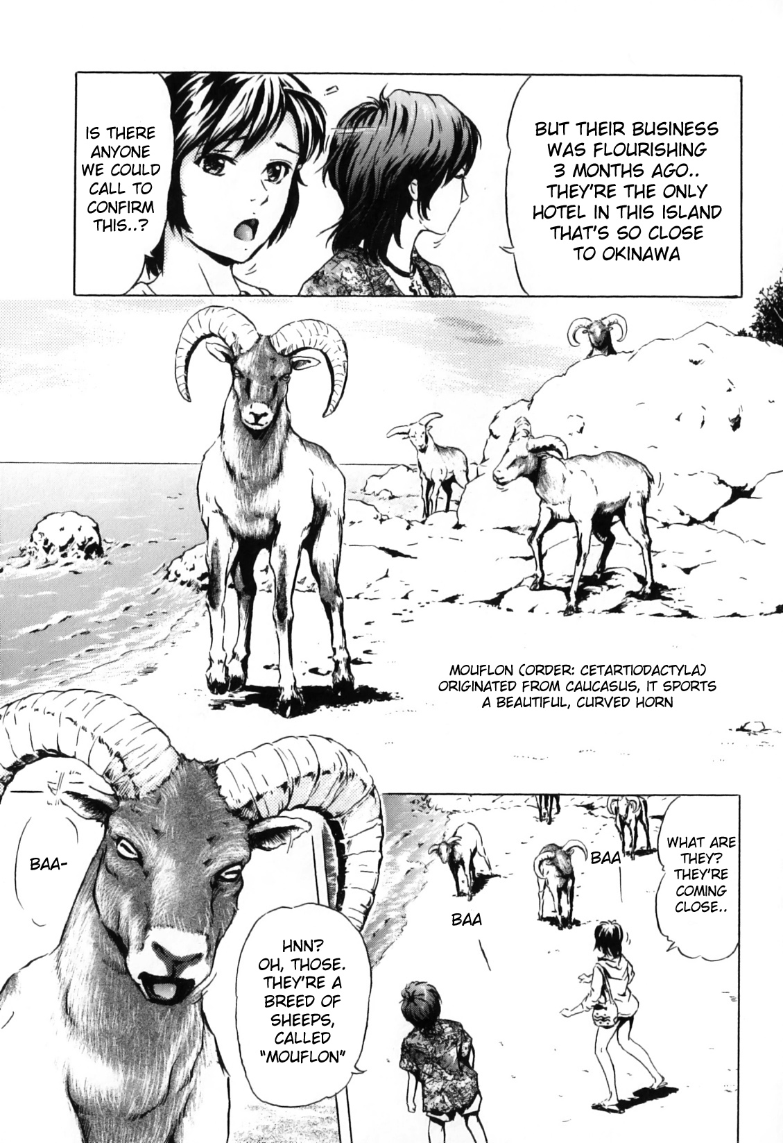 Nangoku no Mouflon | Mouflon of the South page 3 full