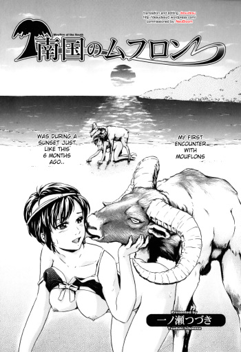 [Ichinose Tsuzuki] Nangoku no Mouflon | Mouflon of the South (Kemono For Essential 7) [English] {desudesu} cover