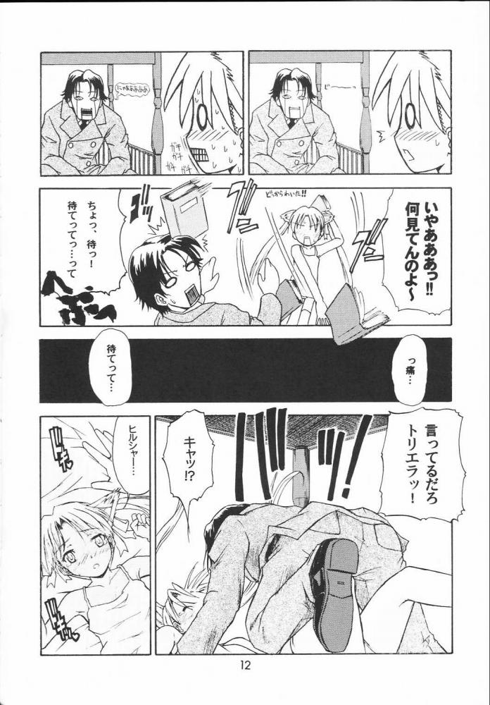 Twin Tail Treila - Tsuinteira Toriera page 11 full