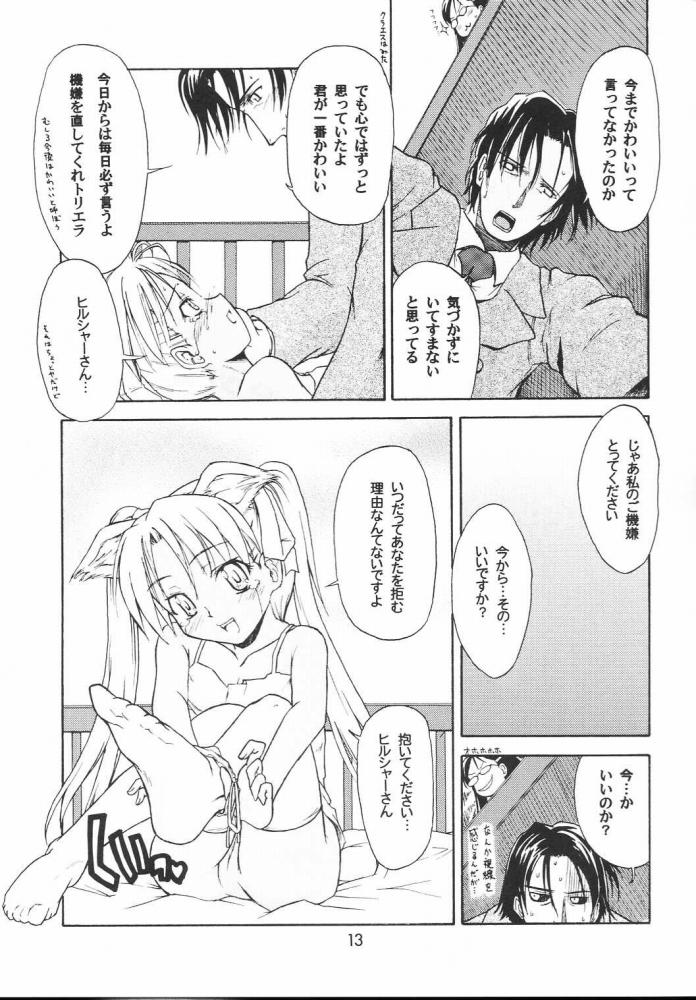 Twin Tail Treila - Tsuinteira Toriera page 12 full
