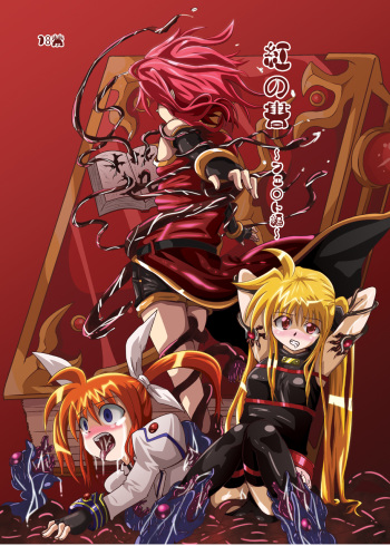 [Kurodama-ya] Kurenai no Sho ~Fate Hen~ (Mahou Shoujo Lyrical Nanoha / Magical Girl Lyrical Nanoha) cover