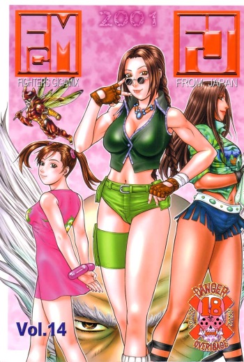 (C61) [From Japan (Aki Kyouma)] FIGHTERS GIGAMIX FGM Vol.14 (Dead or Alive) cover