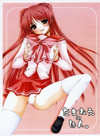 [Dearest (Sena Yuili)] Tama-nee no Hon. (ToHeart 2) cover