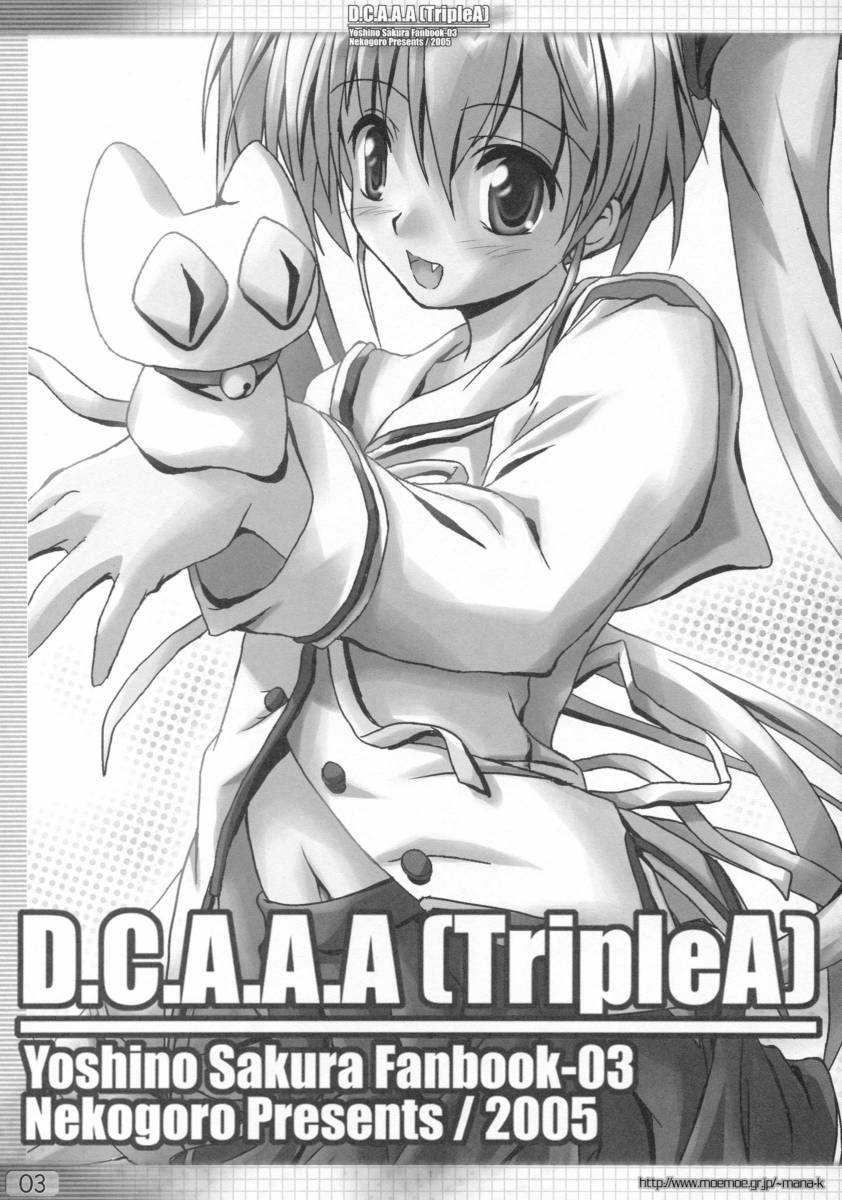 D.C.A.A.A page 2 full