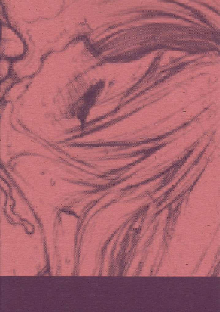 DESTRUCTION GIRL Appendix page 10 full