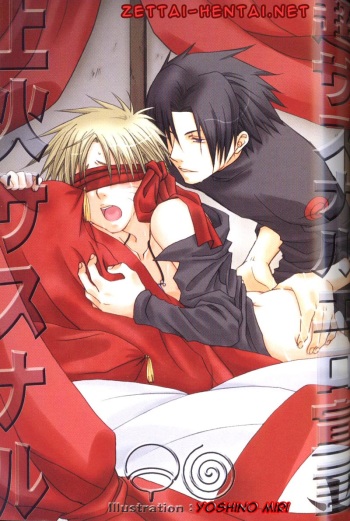 Hide and game cover