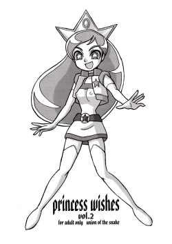 princess wishes vol. 2