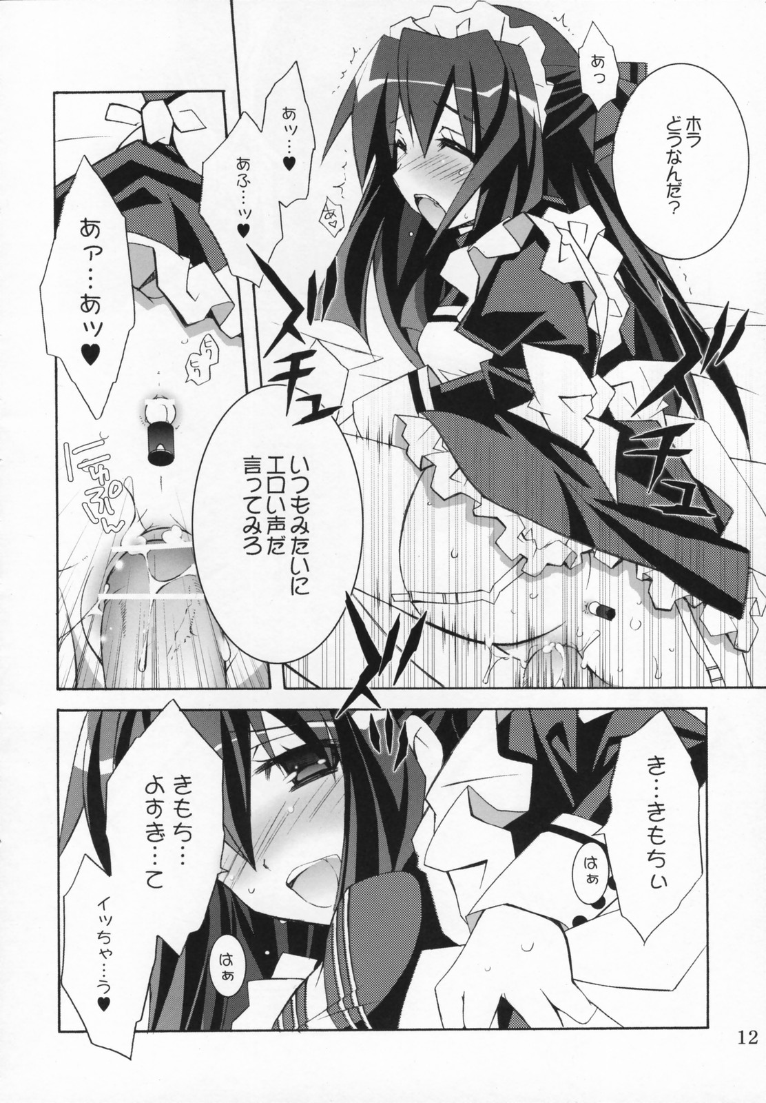 Night Maid Bird Cage. page 11 full