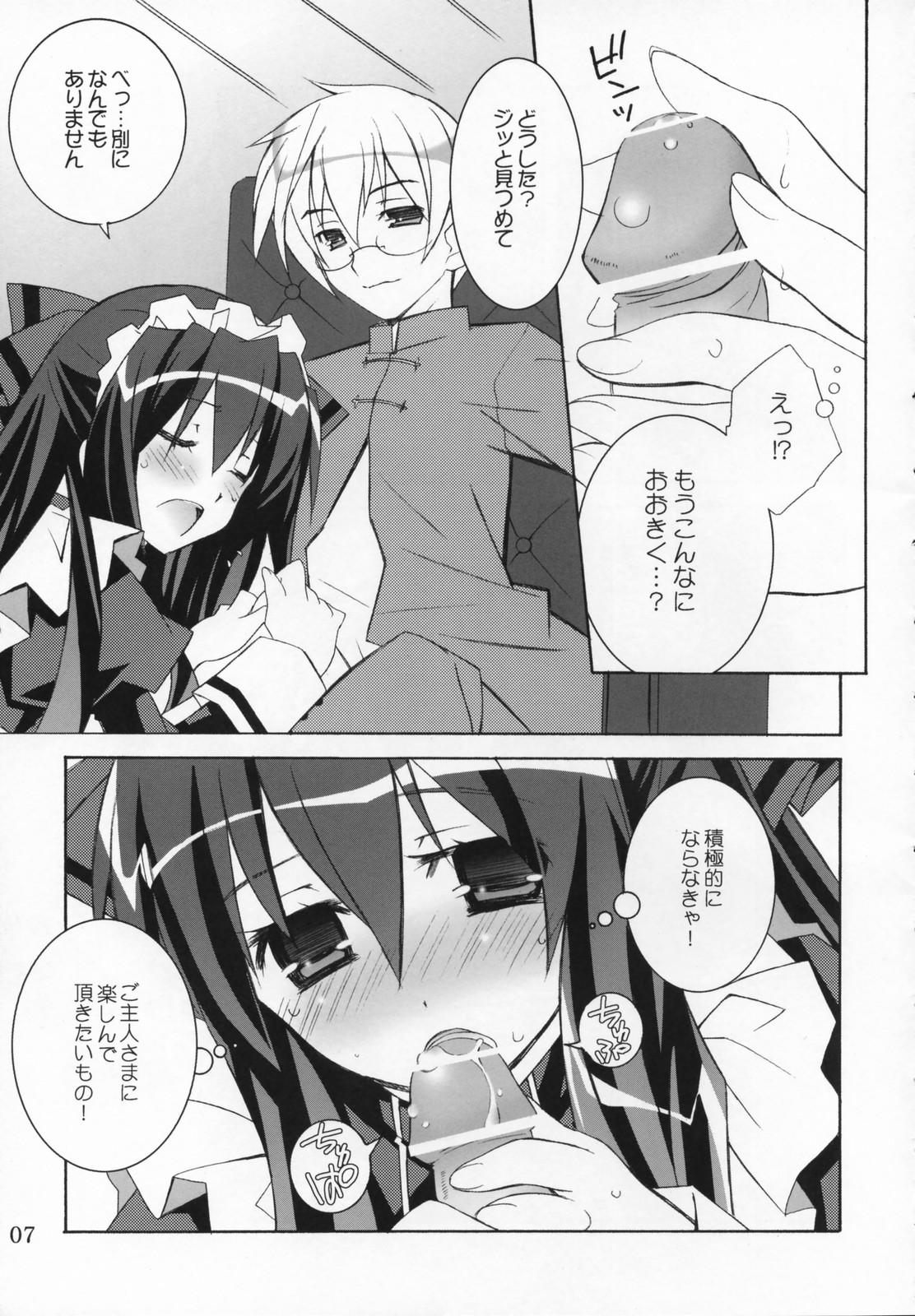 Night Maid Bird Cage. page 6 full