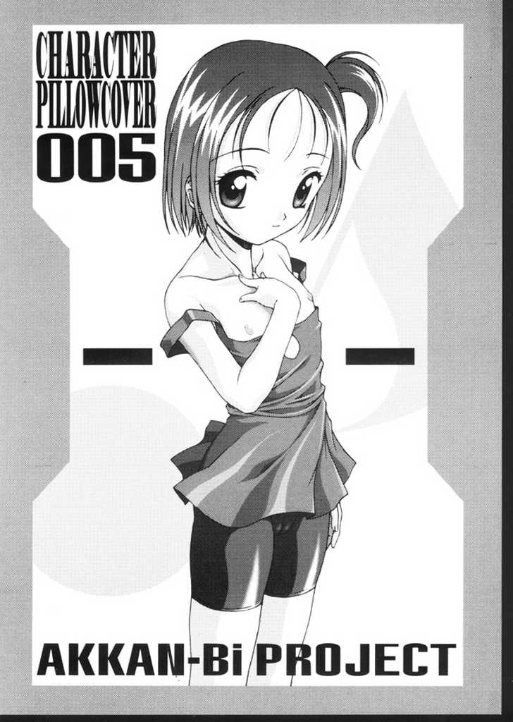 Character Pillow Cover page 1 full