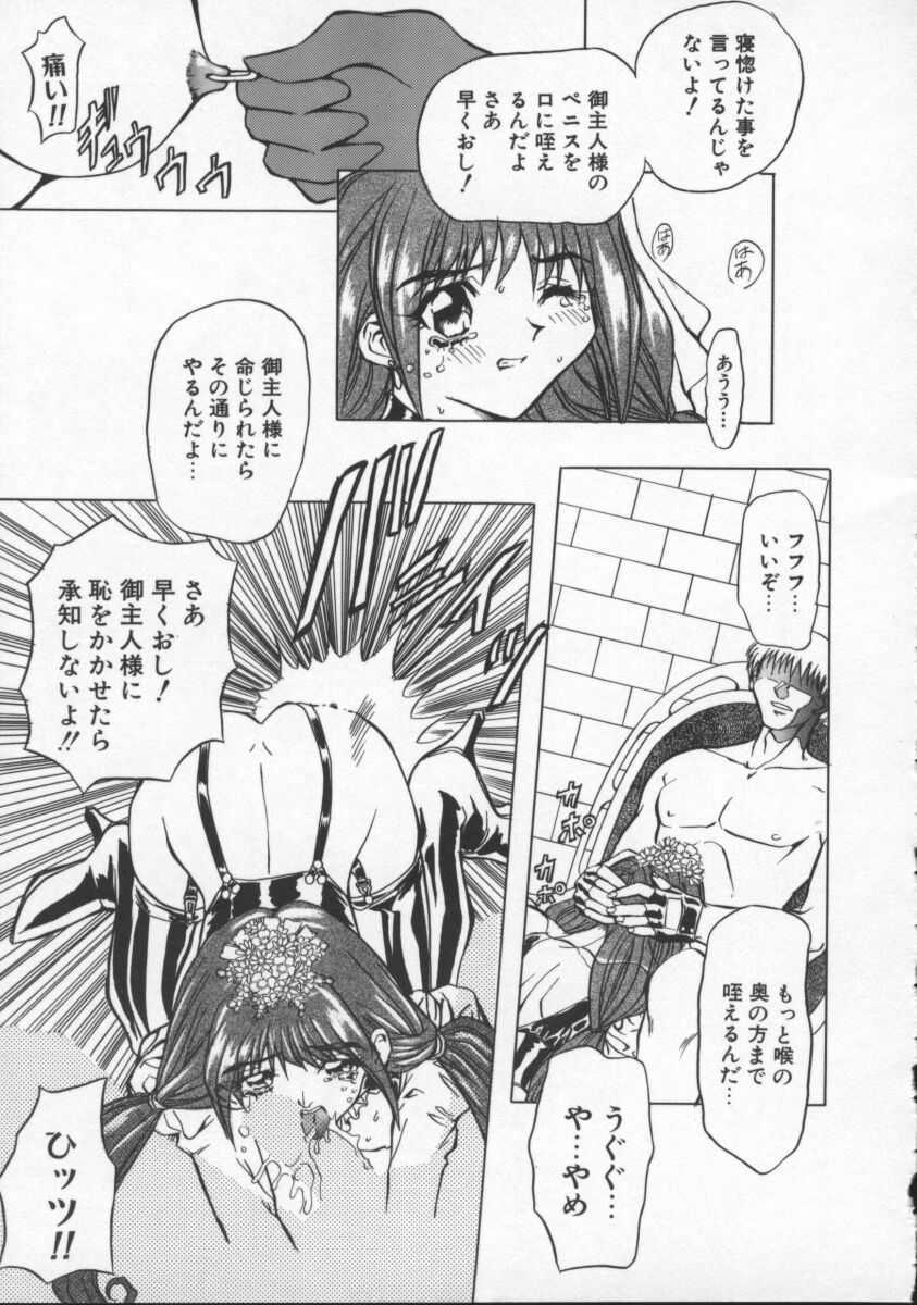 Contact page 12 full