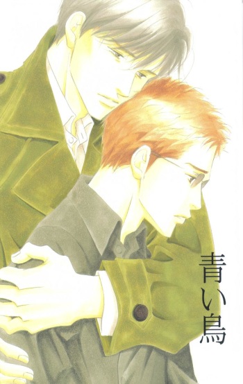 [Oosawa Kaseifu Kyoukai] [2003-12-30] [C65] Aoi Tori cover