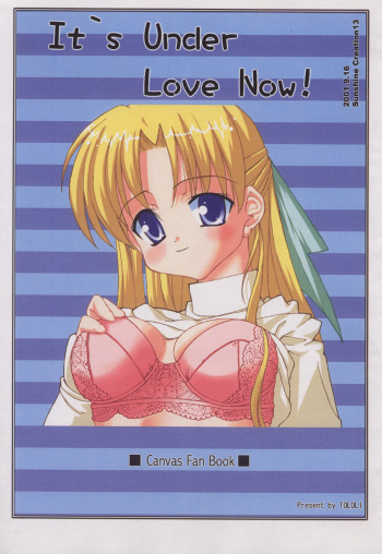 (SC13) [Tololinco (Tololi)] It's Under Love Now! (Canvas) cover