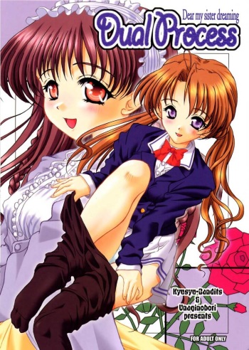 (C61) [Kyuushuu Settoudan, Unaginobori (Bau Bau, Tatsuya Kamishima, Yokoi Rego)] Dual Process (Sister Princess) cover