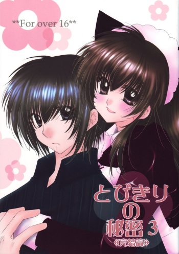 (C68) [Sakurakan (Seriou Sakura)] Tobikiri no Himitsu 3 <<Kanketsuhen>> (Inuyasha) cover