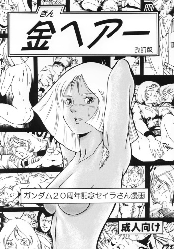 [Skirt Tsuki (keso)] Kin Hair kaitei ban (Mobile Suit Gundam) cover