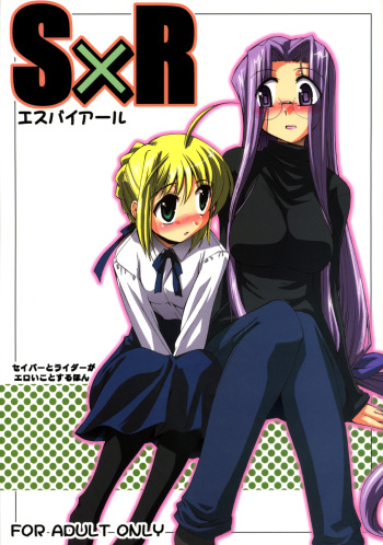 (C70) [YOKOSHIMAYA. (Yokoshima Takemaru)] SxR (Fate/stay night) cover