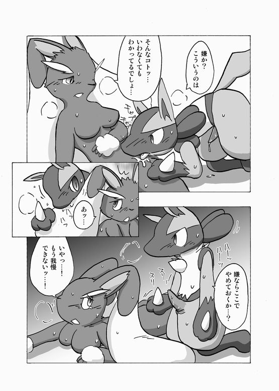 Lucario and Lopunny doujin page 11 full
