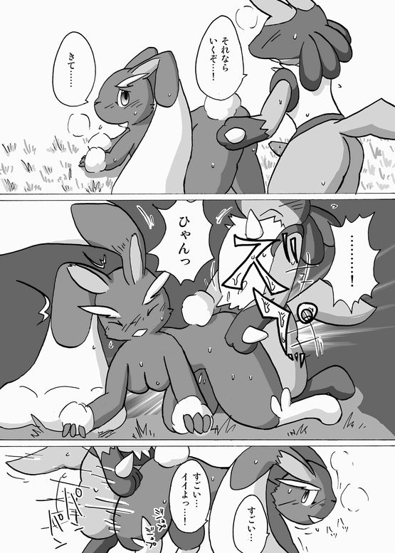 Lucario and Lopunny doujin page 12 full