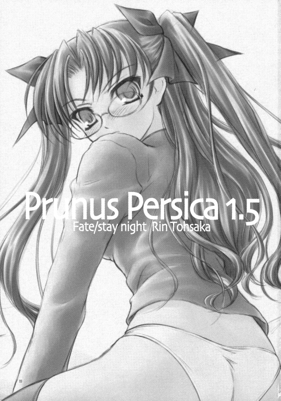 Prunus Persica 1.5 page 2 full