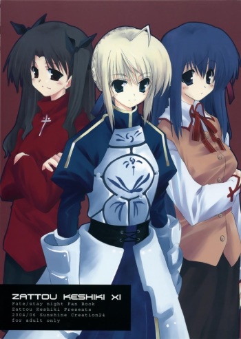 (SC24) [Zattou Keshiki (10mo)] ZATTOU KESHIKI 11 (Fate/stay night) cover