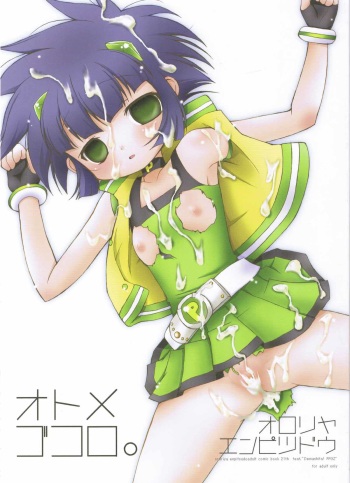 (C72) [Oyoriya Empitsudou (Murian)] Otome Gokoro (Demashita Power Puff Girls Z) cover