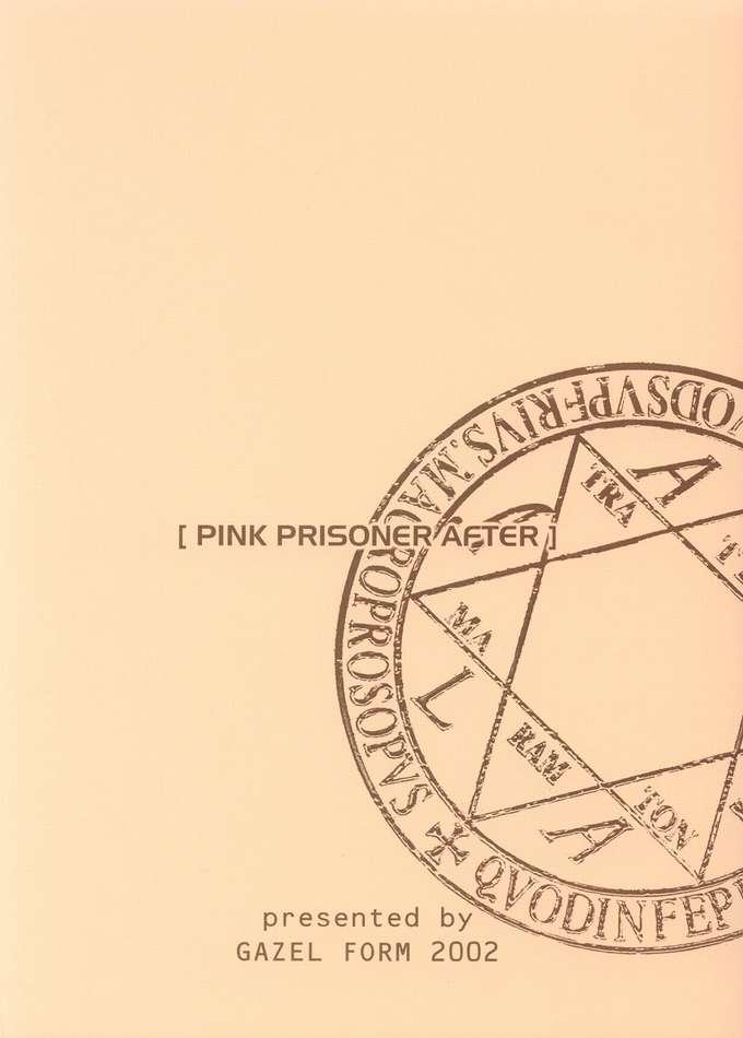 PINK PRISONER AFTER page 10 full