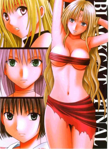 (C66) [Crimson (Carmine)] Black Cat Final (Black Cat) cover
