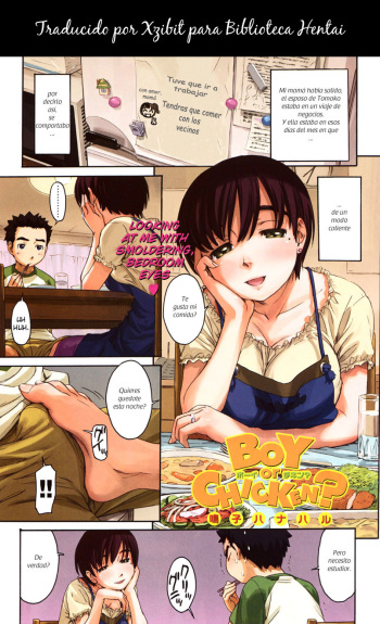 boy or chicken (espa&ntilde;ol) cover
