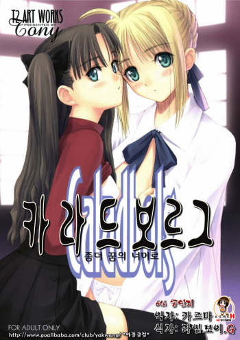 (C66) [T2 ART WORKS (Tony)] Caladbolg Motto Yume no Tsuzuki | 카라드보르그 좀더 꿈의 너머로 (Fate/stay night) [Korean] [Project H] cover