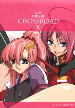 crossroad Hikari