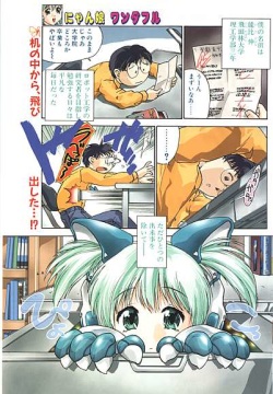 Nyan Musume Wonderful