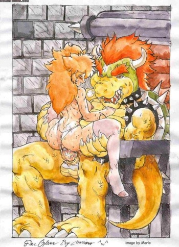 Bowser cover