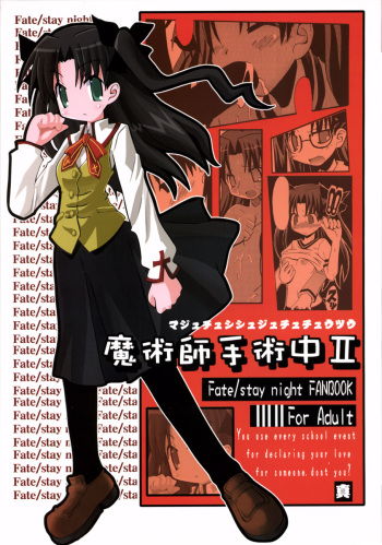 (C66) [Shin Shouryuu-ken (Leet Iga)] Majutsushi Shujucchuu 2 (Fate/stay night) cover