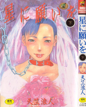 [Tenjiku Rounin] Hoshi ni Negai o Ge cover